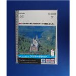 （業務用セット） リヒトラブ クリヤーポケット A4判タテ型 N-2006 グレー 10枚入 【×5セット】