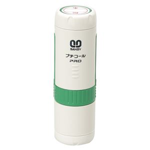（業務用セット） サンビー プチコールPRO15 キャップ式（別製品） 日付入スタンプ・顔料系インク PTP-15B グリーン 入 【×2セット】