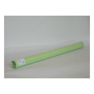 （業務用セット） マス目模造紙 カット5枚巻 CR-MS5-GB ウグイス 5枚入 【×10セット】