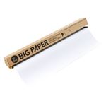 （業務用セット） BIG PAPER D-21 白 20枚入 【×2セット】