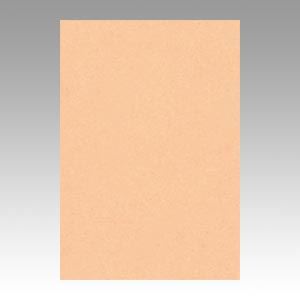 （業務用セット） 文運堂 ニューカラーR 八ツ切 横271×縦392mm 8NCR-103 はだいろ 100枚入 【×2セット】