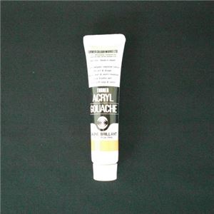 （業務用セット） ターナー アクリルガッシュ 11ml アクリルガッシュ 11ml A色-30 ジョンブリアン 1本入 【×20セット】
