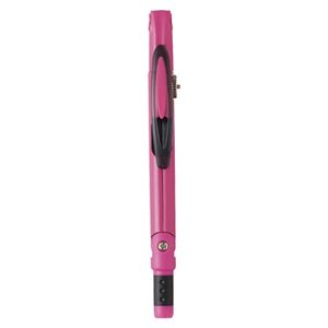 （業務用セット） レイメイ藤井 ペンパス 芯用 JC600P ピンク 1個入 【×5セット】