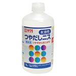 （業務用セット） サクラクレパス つやだしニス KV1000N 1個入 【×2セット】