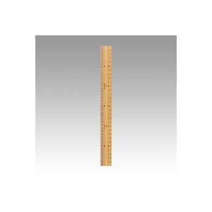 （業務用セット） 銀鳥産業 竹尺30cm J-T30R 1本入 【×10セット】