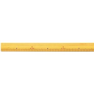 （業務用セット） 銀鳥産業 竹尺30cm J-T30K 1本入 【×10セット】