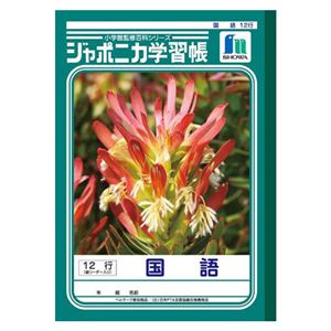 （業務用セット） ショウワノート 学習ノート ジャポニカ学習帳 JL-11 1冊入 【×10セット】