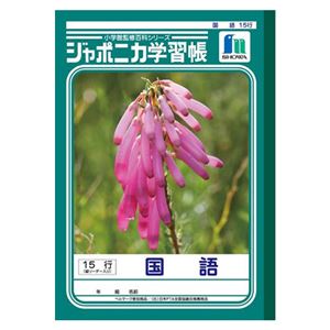 （業務用セット） ショウワノート 学習ノート ジャポニカ学習帳 JL-13 1冊入 【×10セット】