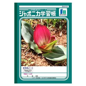 （業務用セット） ショウワノート 学習ノート ジャポニカ学習帳 JL-61 1冊入 【×10セット】