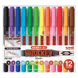 （業務用セット） 三菱鉛筆 ユニ プロッキー セット PM-120T12CN 黒 赤 青 緑 黄 ソフトピンク 水色 茶 紫 橙 黄緑 黄土色 1セット 【×2セット】