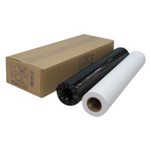 （業務用セット） アジア原紙 大判インクジェット用紙 IJPR-5950EN 2本入 【×2セット】