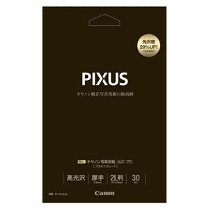 （業務用セット） キャノン Canon純正プリンタ用紙 写真用紙・光沢 プロ（プラチナグレード） PT-2012L30 30枚入 【×2セット】