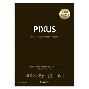 （業務用セット） キャノン Canon純正プリンタ用紙 写真用紙・光沢 プロ（プラチナグレード） PT-201A420 20枚入 【×2セット】