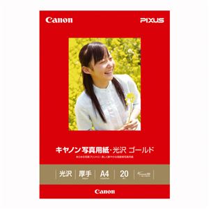 （業務用セット） キャノン Canon純正プリンタ用紙 写真用紙・光沢 ゴールド GL-101A420 20枚入 【×2セット】