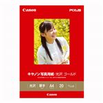 （業務用セット） キャノン Canon純正プリンタ用紙 写真用紙・光沢 ゴールド GL-101A420 20枚入 【×2セット】