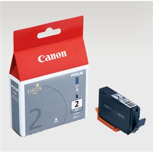 （業務用セット） キャノン Canon インクジェットカートリッジ PGI-2GY グレー 1個入 【×2セット】
