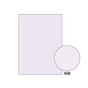 （業務用セット） ヒサゴ コピー偽造予防用紙 BP2110 100枚入 【×2セット】