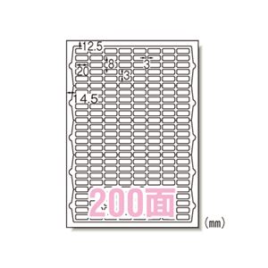 （業務用セット） エーワン ラベルシール〈プリンタ兼用〉 マット紙 100枚入 73200 【×2セット】
