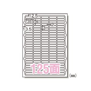 （業務用セット） エーワン ラベルシール〈プリンタ兼用〉 マット紙 100枚入 73125 【×2セット】