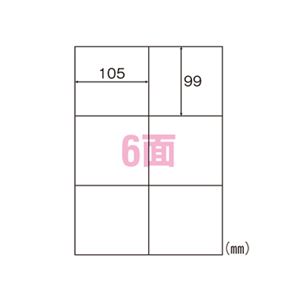 （業務用セット） ヒサゴ エコノミーラベル A4判 100枚入 ELM004 【×2セット】