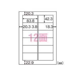 （業務用セット） ヒサゴ エコノミーラベル A4判 100枚入 ELM007 【×2セット】