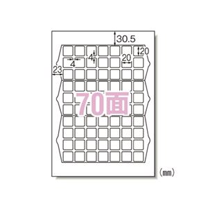 （業務用セット） エーワン ラベルシール〈プリンタ兼用〉ハイグレードタイプ マット紙（A4判） 75270 20枚入 【×2セット】