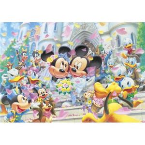 テンヨー D-108-994 フラワーシャワードリーム 108P 【ジグソーパズル】