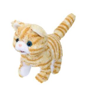 イワヤ あかちゃん スコティッシュ