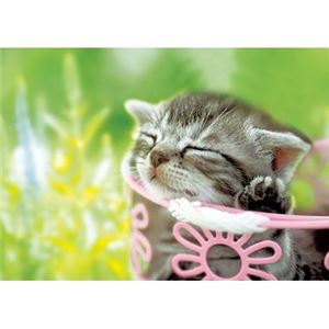 エポック社 108P ひだまり 【ジグソーパズル】