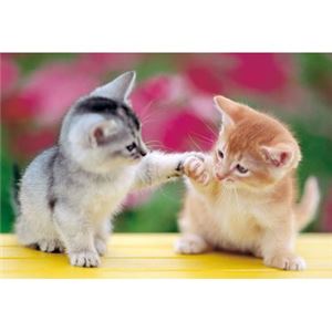 エポック社 450P ニャンだ！ 【ジグソーパズル】