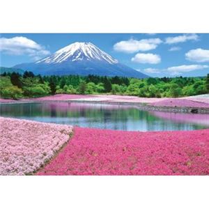 ビバリー M71-863 富士を彩るシバザクラ 【ジグソーパズル】