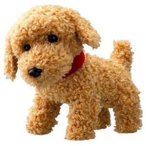 増田屋コーポレーション オサンポワンワン トイプードル