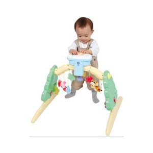 タカラトミー 6WAYジムにへんしんメリー 【知育玩具】