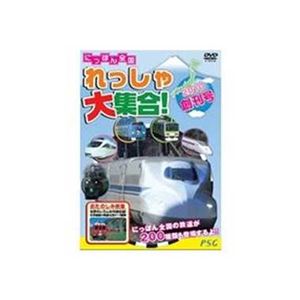 ピーエスジー PNRD-001 にっぽん全国 れっしゃ大集合！2010 【知育玩具】