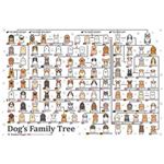 ビバリー P33-104 犬の系統図【ジグソーパズル】