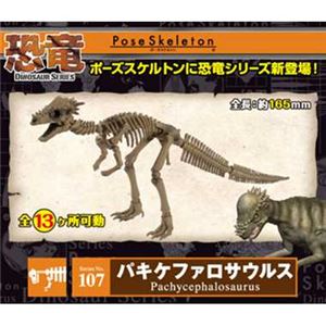 リーメント 107 バキケファロサウルス