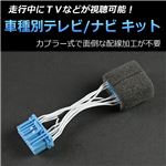 ホンダ エディックス BE1/BE2/BE3/BE4/BE8 専用 TV/NVキット テレビナビキット