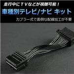 ホンダ モビリオ GB1／GB2 専用 TV／NVキット テレビナビキット TNK-H4-75