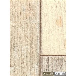 サンゲツ 店舗用クッションフロア ペイントウッド 色番CM-2205 サイズ 200cm巾×10m