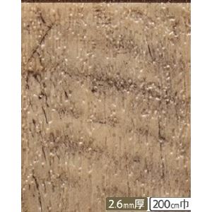 サンゲツ 店舗用クッションフロア ラフソーン 柄番CM-2216 サイズ 200cm巾×1m