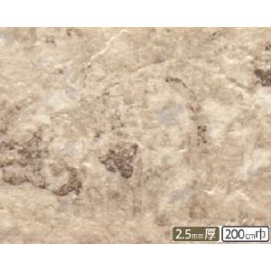 サンゲツ 店舗用クッションフロア フラッグストーン 柄番CM-2235 サイズ 200cm巾×10m