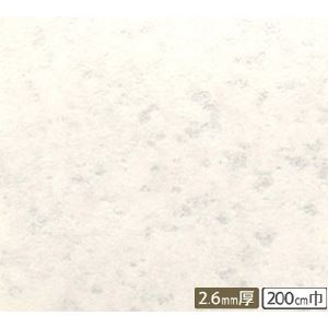 サンゲツ 店舗用クッションフロア アイスホワイト 柄番CM-2238 サイズ 200cm巾×1m