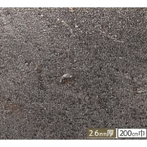 サンゲツ 店舗用クッションフロア ラスティメタル 柄番CM-2239 サイズ 200cm巾×2m