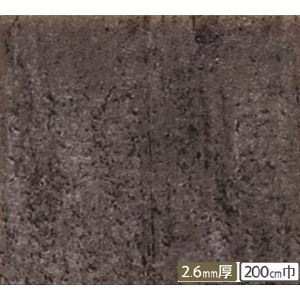 サンゲツ 店舗用クッションフロア コンクリート 柄番CM-2241 サイズ 200cm巾×6m