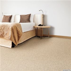 サンゲツカーペット サンホリデー 色番HD-1 サイズ 80cm×200cm 【防ダニ】 【日本製】