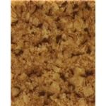 サンゲツ 住宅用クッションフロア ペット快適専科 コルク 柄番HW-2179 サイズ 182cm巾×10m 【日本製】