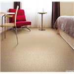 サンゲツカーペット サンリンド 色番LD-3 サイズ 80cm×200cm 【防ダニ】 【日本製】