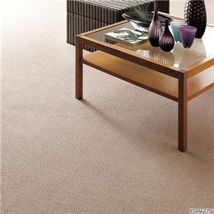サンゲツカーペット サンペンタゴン 色番PE-2 サイズ 200cm×240cm 【防ダニ】 【日本製】
