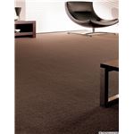 サンゲツカーペット サンフリーズ 色番RZ-2 サイズ 200cm×240cm 【防ダニ】 【日本製】