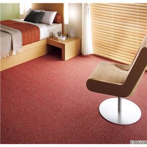 サンゲツカーペット サンステラ 色番TL-1 サイズ 200cm×300cm 【防ダニ】 【日本製】
